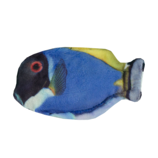 Wild Life Chat Poisson-chirurgien Bleu