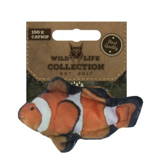 Wild Life Chat Clownfish