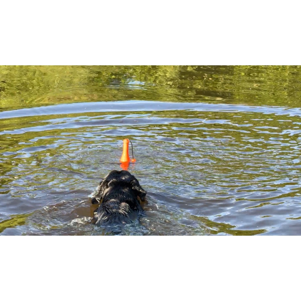 Chien Comètes Bobber Rose