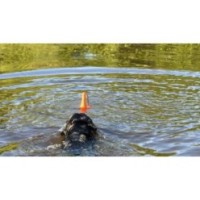 Chien Comètes Bobber Rose