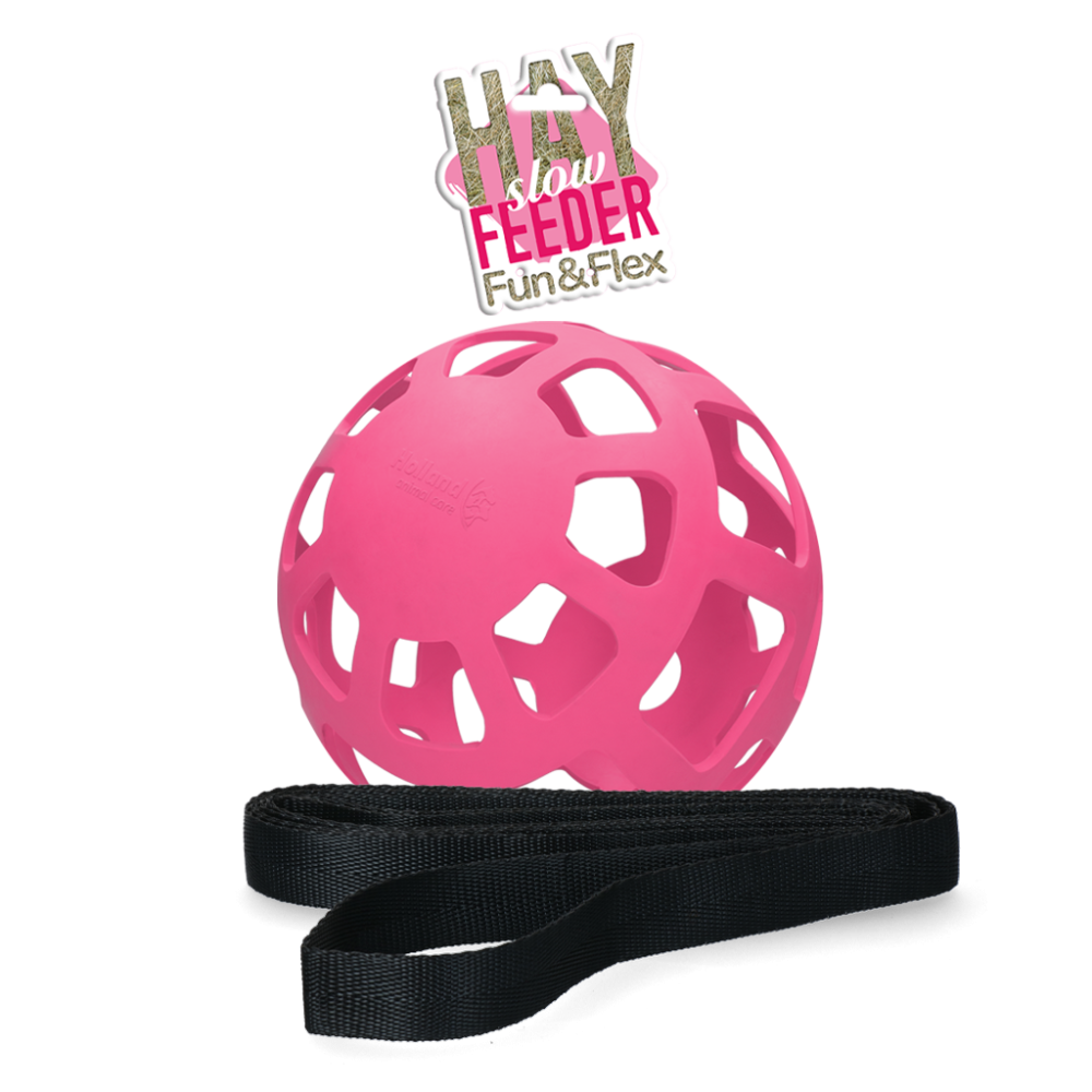 Hay Slow Feeder Fun & Flex Rose