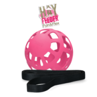 Hay Slow Feeder Fun & Flex Rose