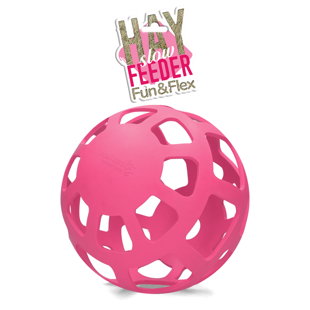 Hay Slow Feeder Fun & Flex Rose