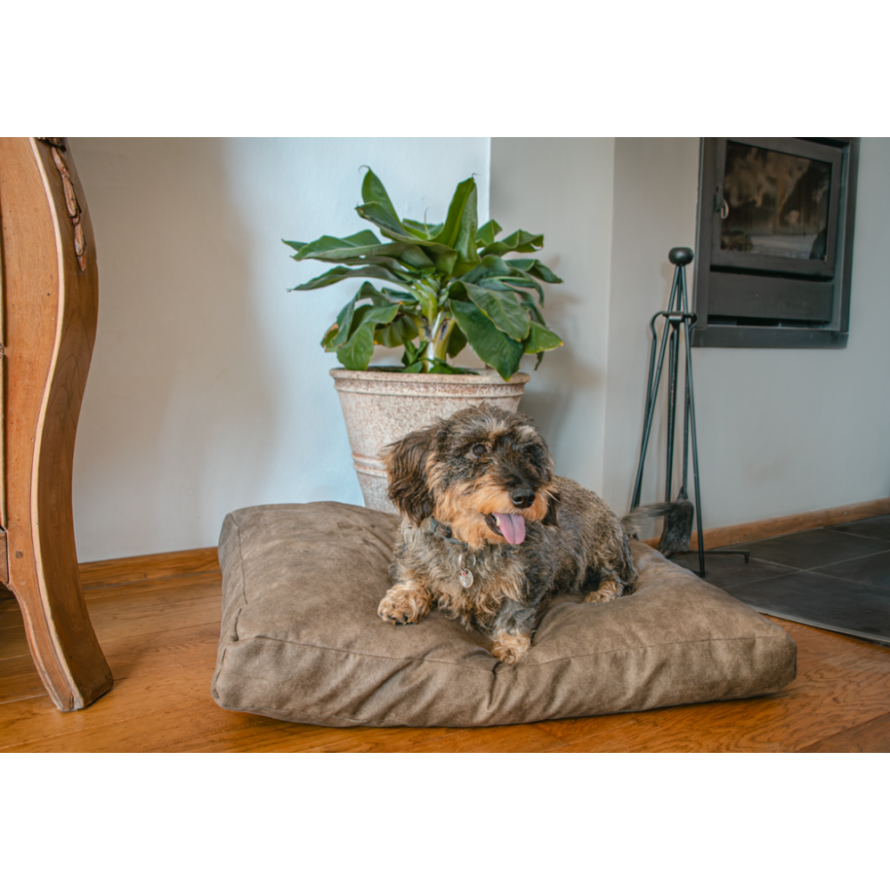 Lit pour chien en peluche Let's Sleep L Anthracite