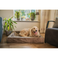 Panier pour chien Let's Sleep Comfy Coussin XL Cognac