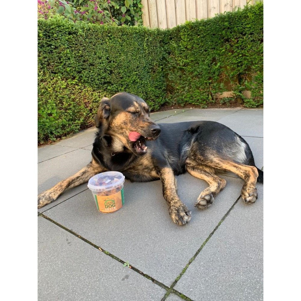 Les friandises pour chiens Duo