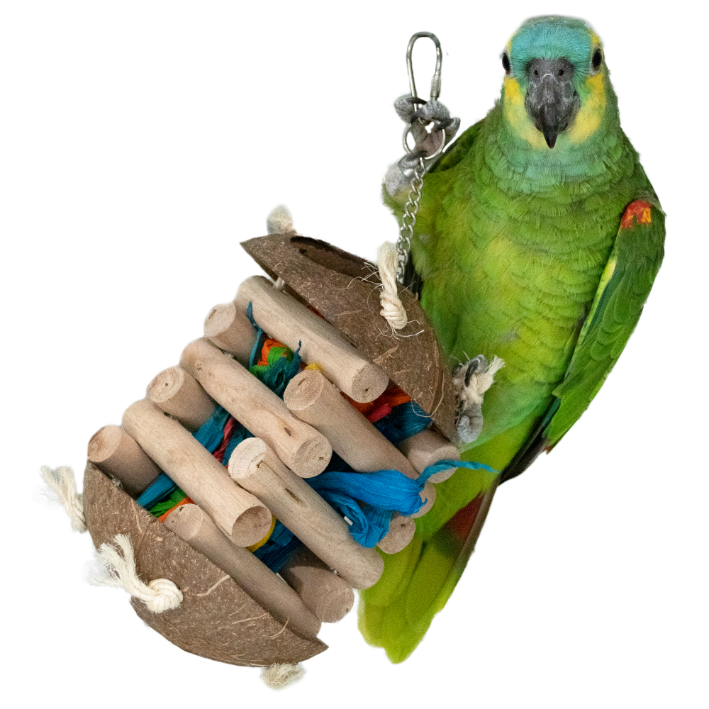 Feather World Coco jenga