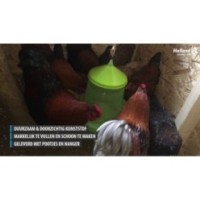 Mangeoire pour volaille Gaun avec pieds Vert Citron 2 kg
