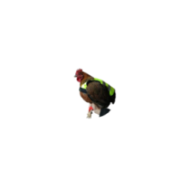 Gilet pour poulet Gaun