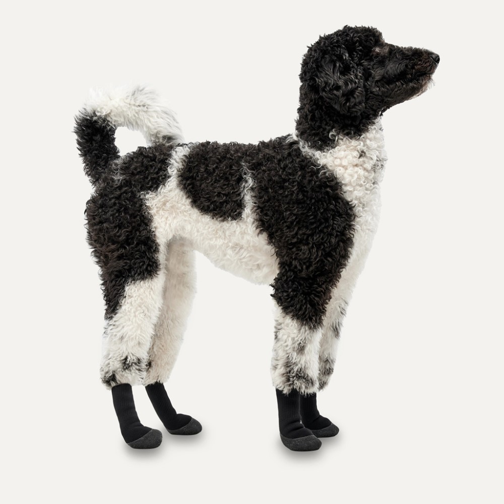Goo-eez Bottes pour Chien Lites 4 par Paquet XL Camouflage/Noir