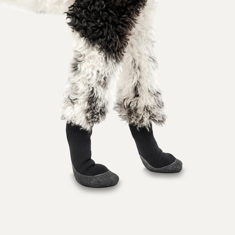 Goo-eez Bottes pour Chien Lites 4 par Paquet XL Camouflage/Noir