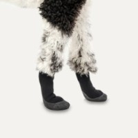 Goo-eez Bottes pour Chien Lites 4 par Paquet XL Camouflage/Noir