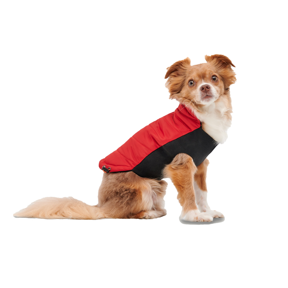 Veste Enveloppante à Col Montant Goo-eez Signature S Rouge/Noir