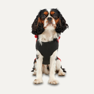 Sweat à capuche en polaire Goo-eez Kangaroo XXL Rouge/Noir
