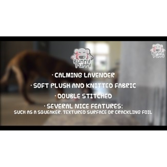 Lapin Chiot Balle Corde.