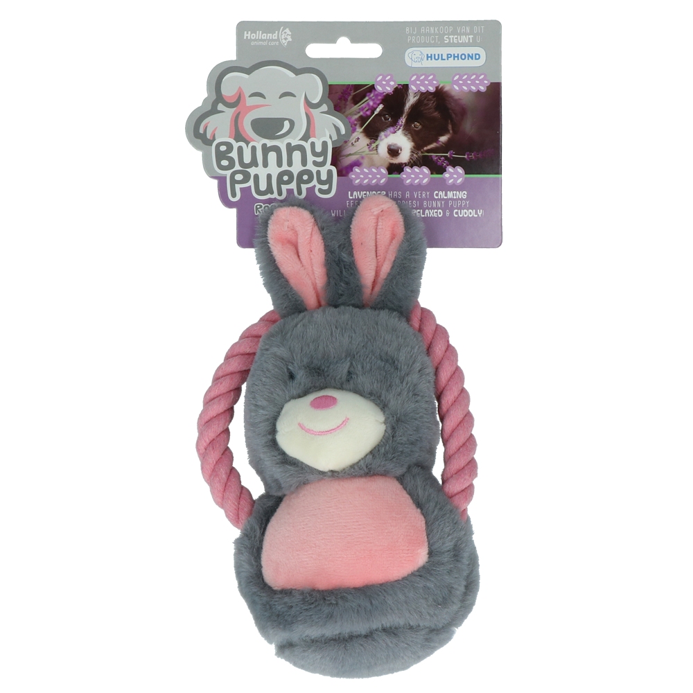 Lapin câlin