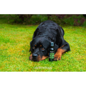 Brume pour le corps Cloud K9 150 ml | Formule de luxe pour chiens